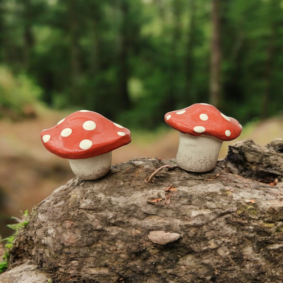 Terracotta spotted mushroom